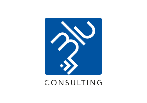 Blu Consulting
